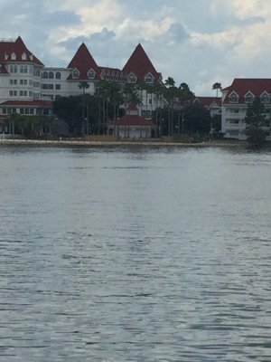 IMG_7293.jpeg