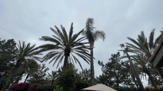 IMG_7509.jpeg