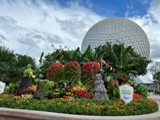 225F6D11-73FE-4153-A5BB-513B1946D533.jpeg