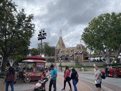 IMG_8783.jpeg