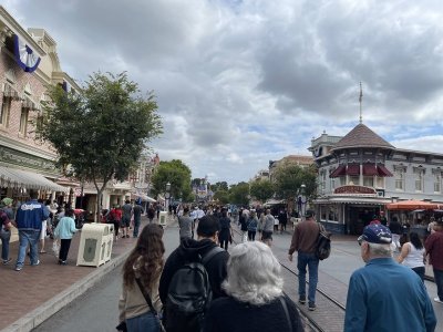 IMG_8784.jpeg