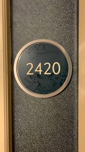 room1.jpeg