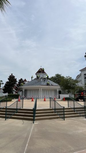 IMG_2847.jpeg