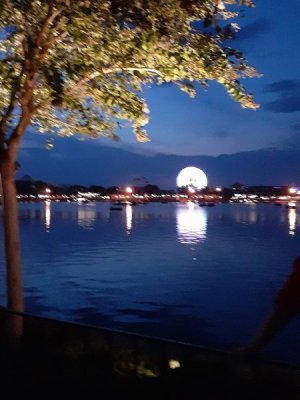 20230622_205626.jpg