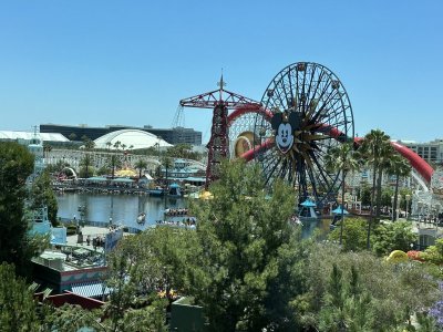 IMG_5182.jpeg