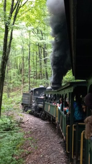 20230623_112634.jpg 20230623_112634.jpg