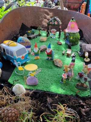 20230624_155214 fairy garden zoomed.jpg