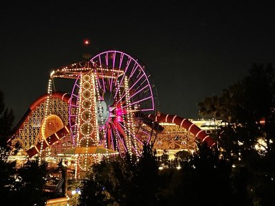 IMG_8880.jpeg