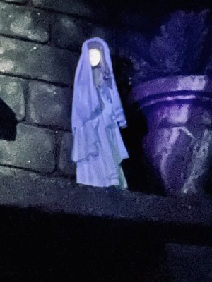 IMG_2023-6-24-171008.jpg