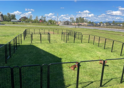 Screen Shot 2023-06-25 at 9.54.01 AM.png