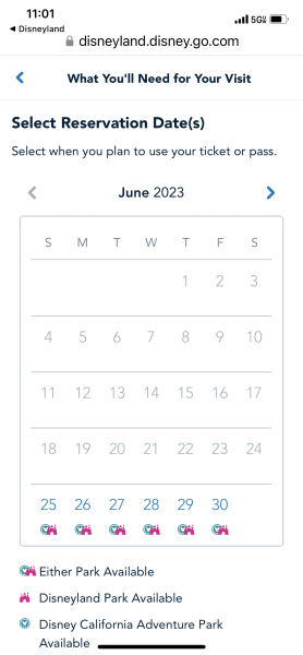 IMG_7605.png