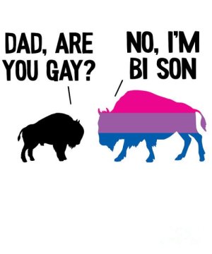 1-dad-are-you-gay-bison-bisexual-funny-bi-pride-lisa-stronzi.jpg