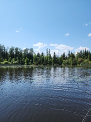 20230624_130434.jpg