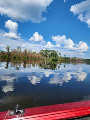 20230624_161733.jpg