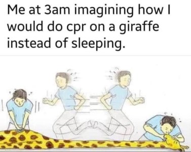 1687960665242.jpeg