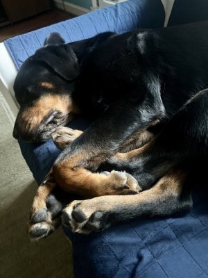 feets.jpg