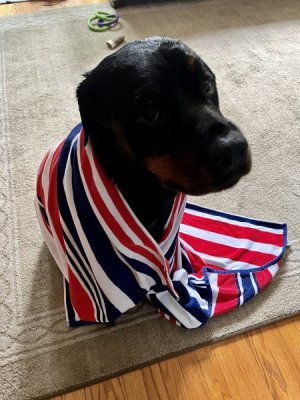 towel.jpg