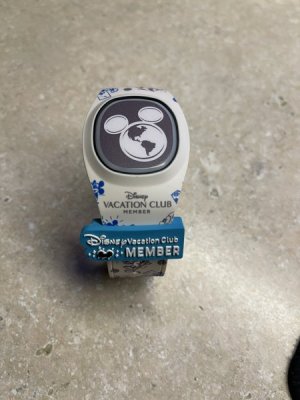IMG_3380.jpeg
