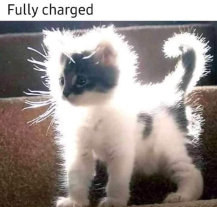 1688096723086.png