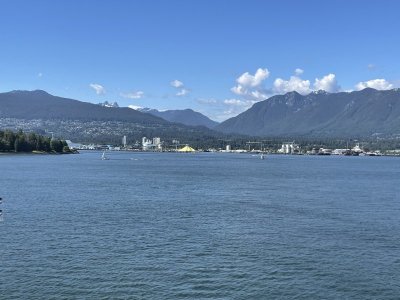 IMG_2240.jpeg