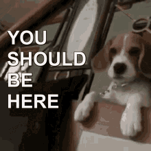 IMG_1502.gif
