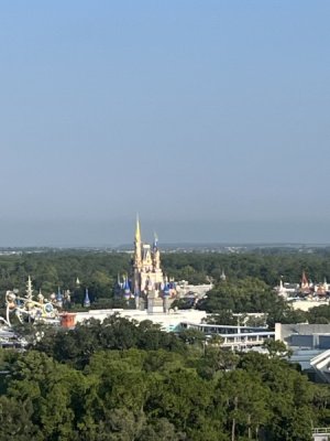 IMG_2479.jpeg