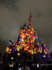 731175AC-D942-404C-A7DA-9FB100C77214.jpeg
