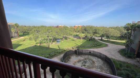 IMG_3257.jpeg