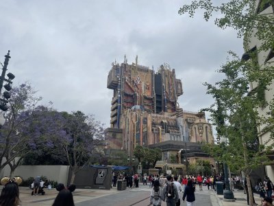 IMG_8907.jpeg