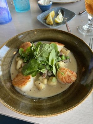 IMG_0465.jpeg