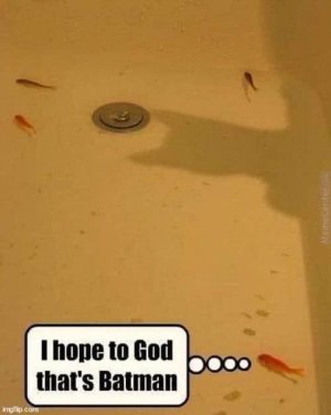 IMG_0285.jpeg