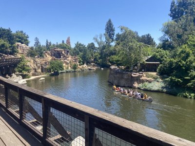 5B4234E1-B697-4E78-A3D5-F1099883A885.jpeg