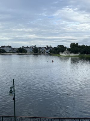 IMG_1197.jpeg
