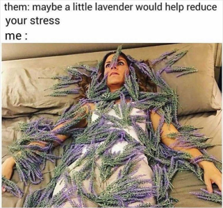 1688796180627.png