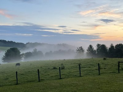 IMG_0224.jpeg