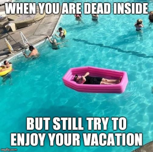 1688877078431.png
