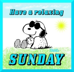 0da4b0bcef41930f03fce3b8605eac98--sunday-greetings-charlie-brown-snoopy.jpg