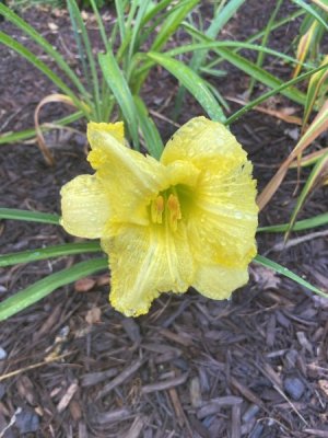 IMG_9469.jpeg