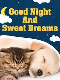Sweet Dreams.jpg