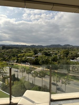 IMG_3787.jpeg