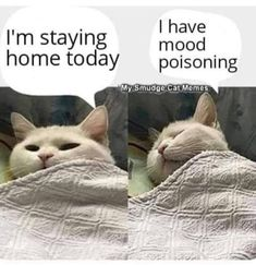 1689275019481.png