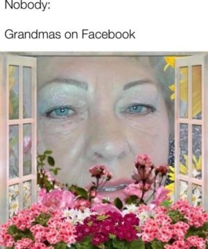 IMG_1729.jpeg