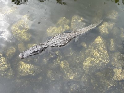 IMG_7404.JPG