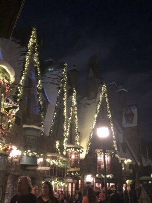 IMG_1312.jpeg