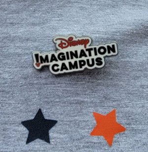 Pin.jpg