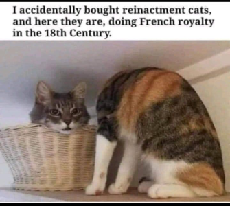 1689371834876.png