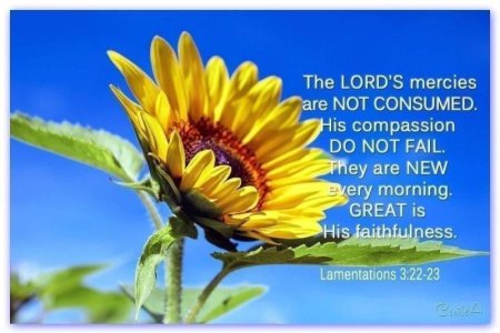 Great is Thy Faithfulness.jpg