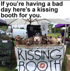 1689390631720.png