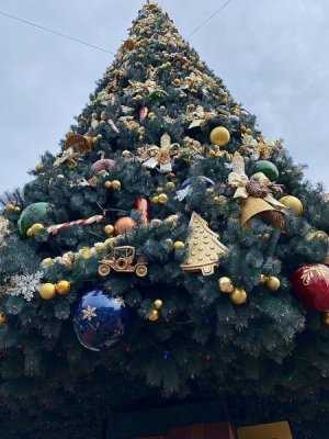 IMG_0016.jpeg