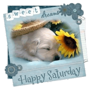 Saturday.gif